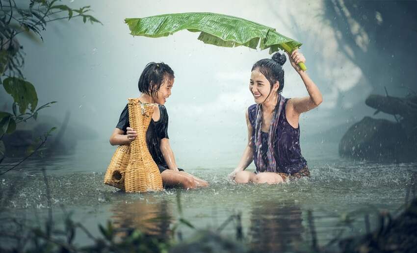 大象被鳄鱼咬住鼻子(为什么大象能干掉鳄鱼)