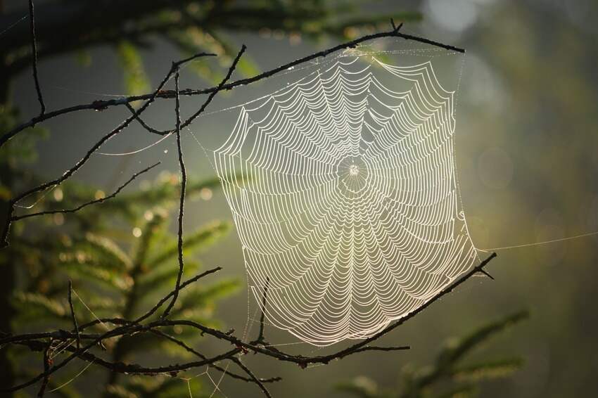 写老师的诗(赞教师的七绝诗)