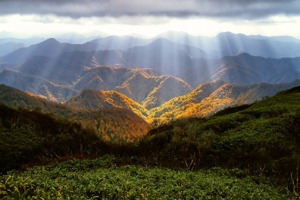 我想大声告诉你 你一直在我世界里(一个人心里装了另一个人七八年)