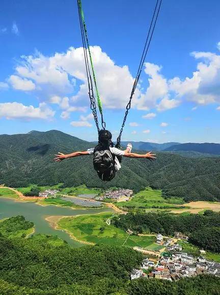 去梅岭狮子峰景区赏格桑花海，10月进入最佳观赏期