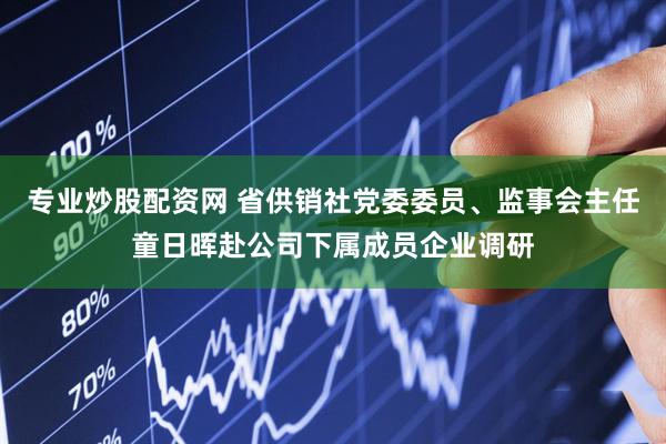 专业炒股配资网 省供销社党委委员、监事会主任童日晖赴公司下属成员企业调研